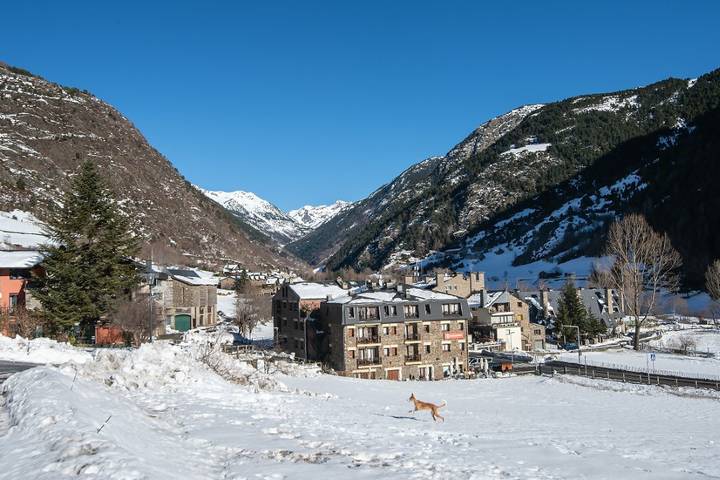 Apartamento entero, Appartement Standard La Tulipa 6p in Vallnord
