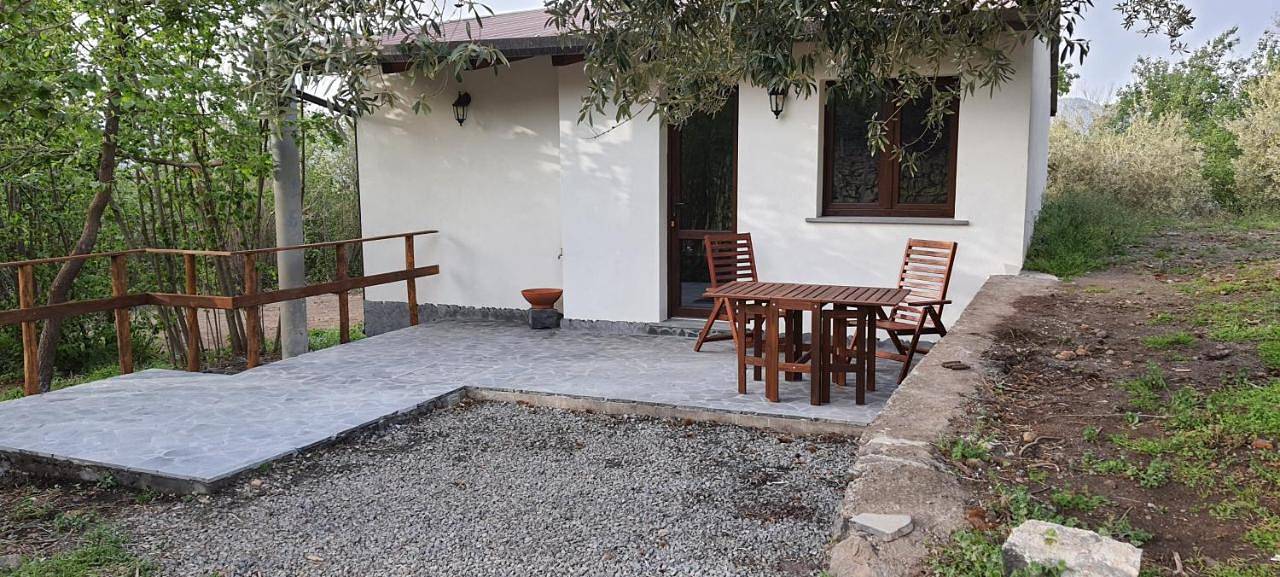 La finestra sul vigneto in Etna