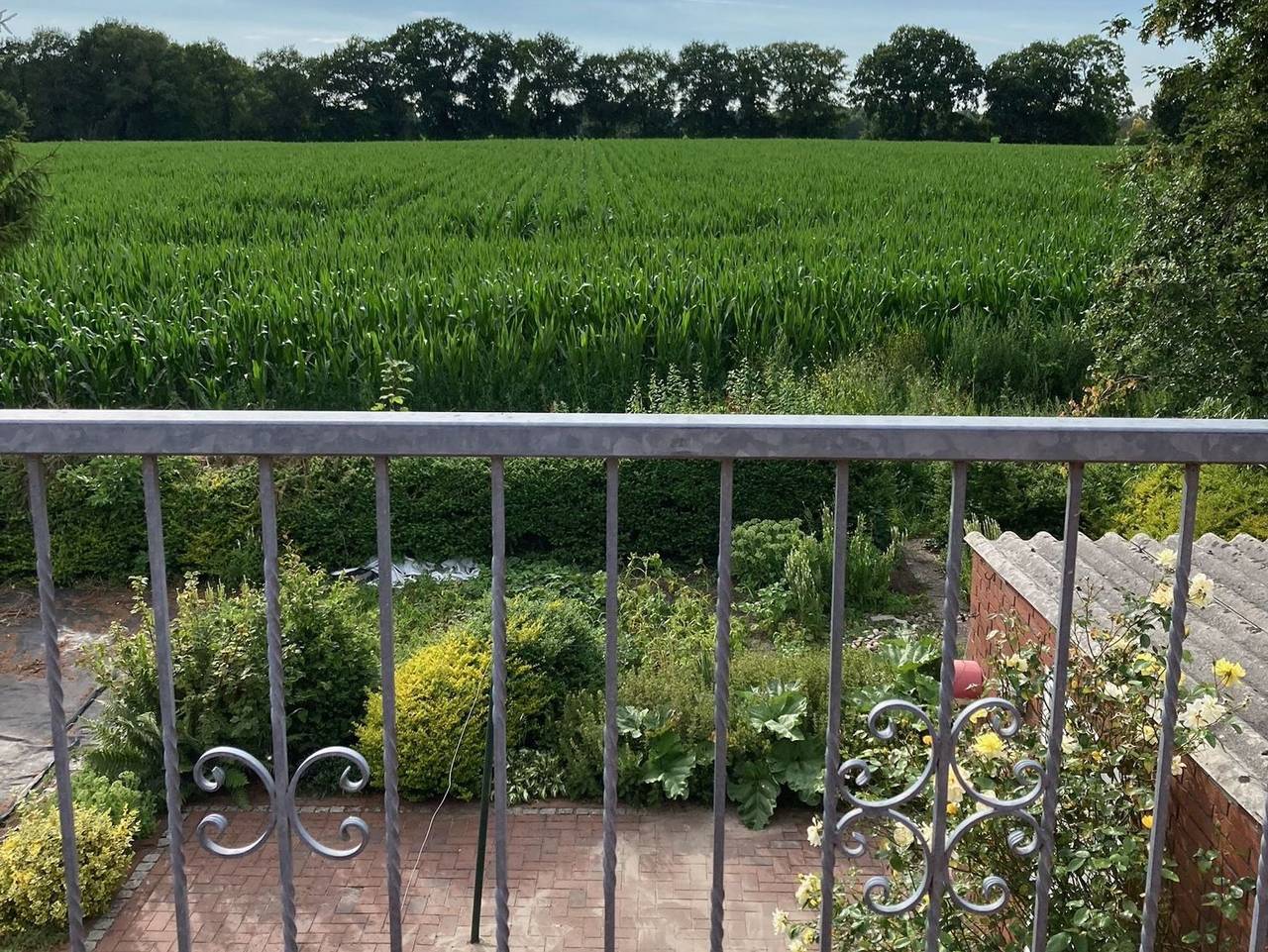 Ganze Ferienwohnung, Ferienwohnung Berta 25508 in Weener, Emsland