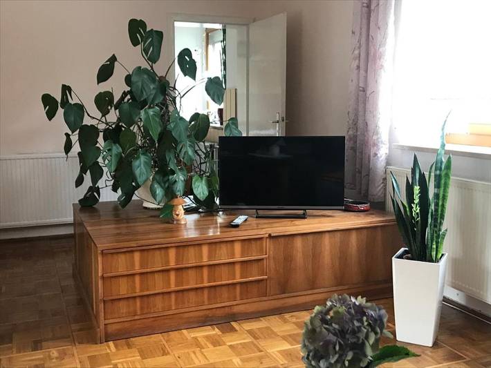 Ferienwohnung für 3 Personen, mit Terrasse und Ausblick in Zeulenroda-Triebes - 3