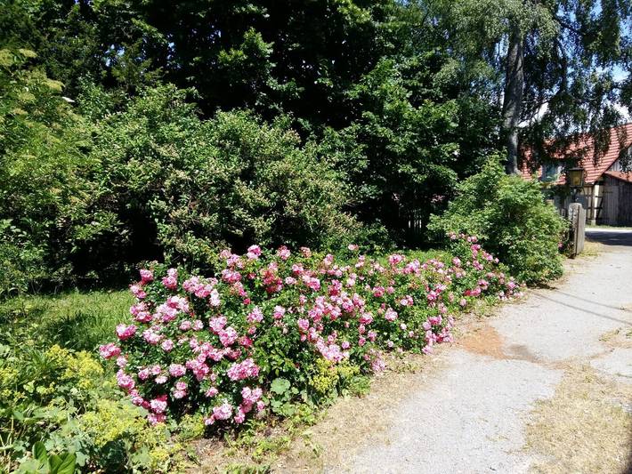 Ferienhaus für 12 Personen, mit Garten, kinderfreundlich in Baden-Württemberg - 4