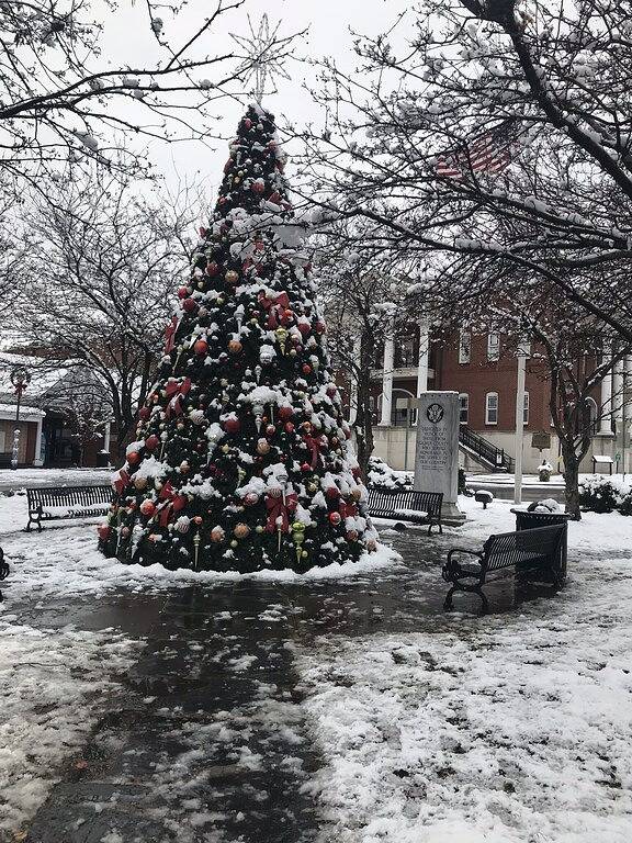 Budget freundlich! Hundefreundlich! 2 Lux Könige, 2 Ba. Blockhaus ! Atemberaubender Ausblick! in Cherry Log, Chattahoochee National Forest