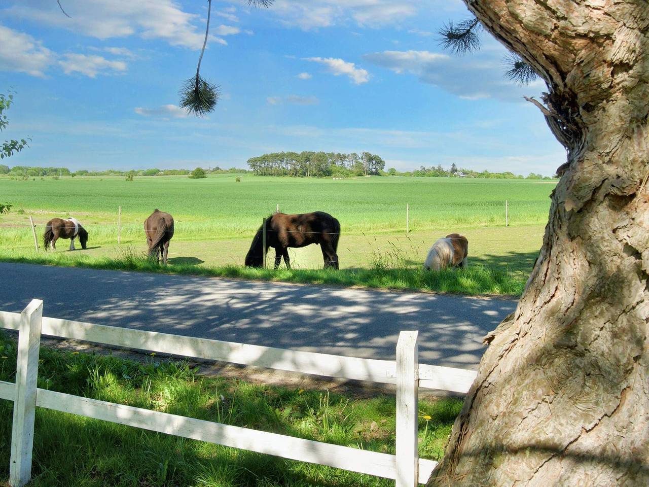5 Personen Ferienhaus in Gilleleje in Gilleleje, Kattegat Küste