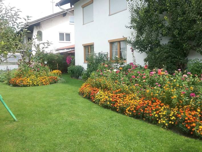 Ferienwohnung für 4 Personen, mit Balkon und Balkon/Terrasse, kinderfreundlich in Grassau - 3