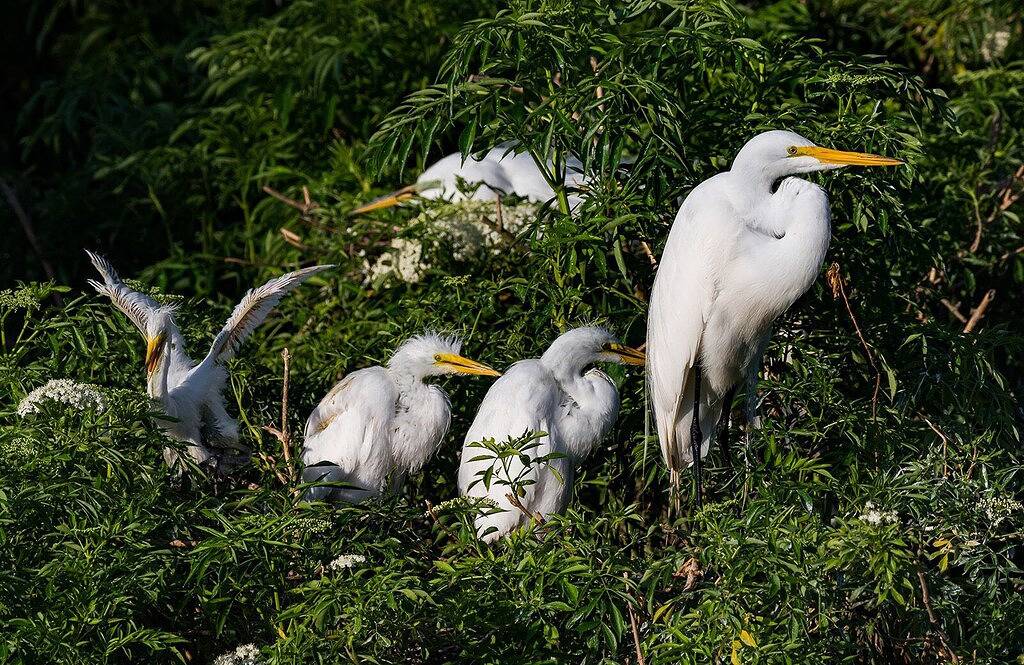 Cozy two bedroom with a private porch in Delray's Hottest Neighborhood in Delray Beach, Palm Beach County