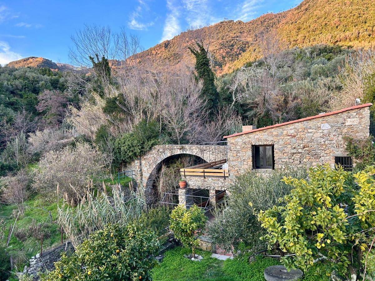 Villa Olive Mill Terra Rossa in Corniglia, Comune di Vernazza