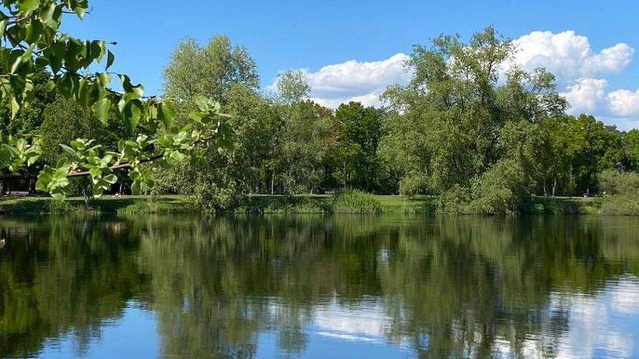 Ganze Ferienwohnung, Ferienwohnung für 6 Personen (60 m²) in Ganderkesee in Ganderkesee, Naturpark Wildeshauser Geest