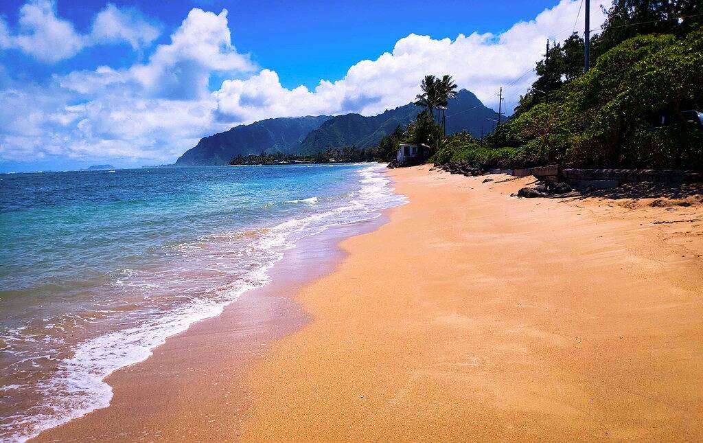 * 499 $ Sonderangebot!* Oceanfront Private Oasis mit zentraler Klimaanlage - Turtle Point Beach House in Hauula, North Shore (Oahu)