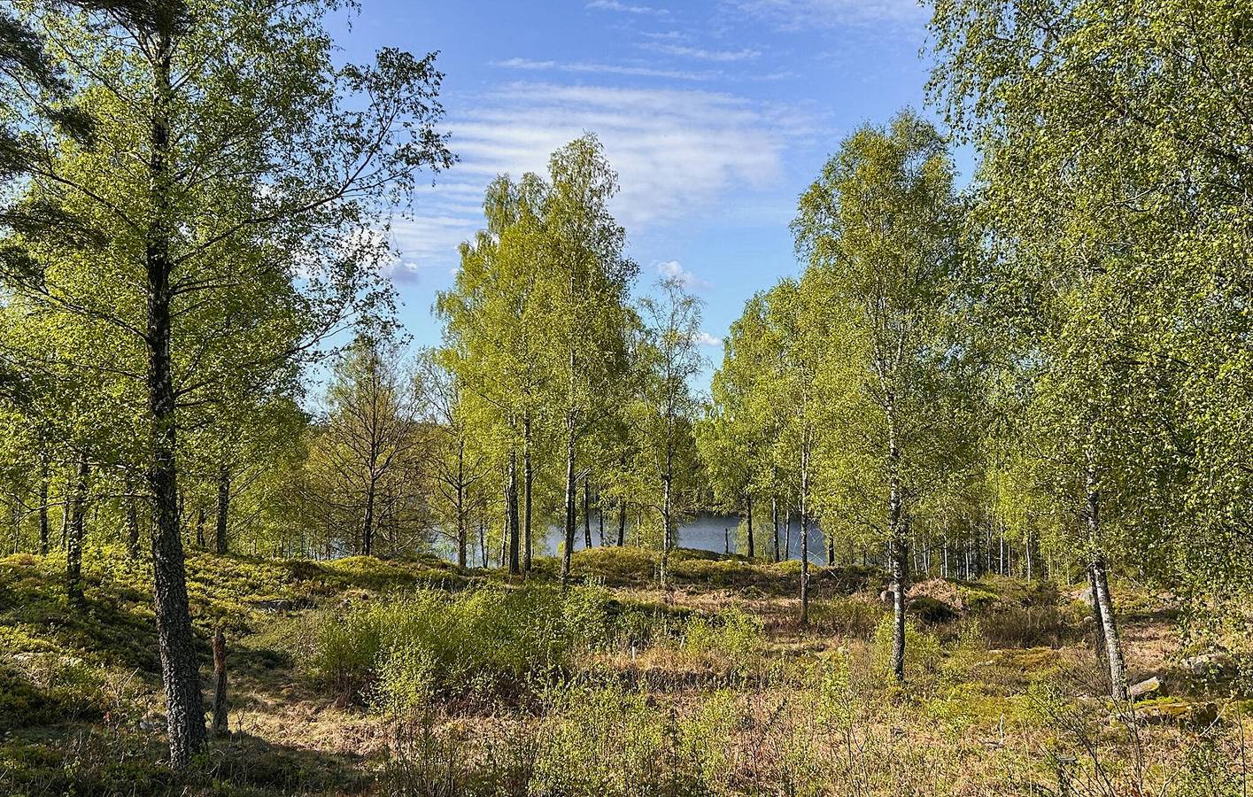 Feriehus for 5 personer med innsjøutsikt in Falkenbergs region