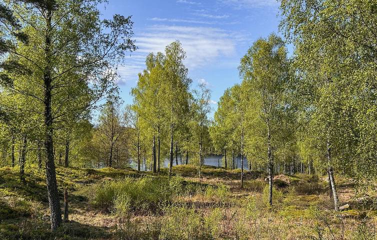 Hus för 5 Personer med sjöutsikt in Falkenbergs region