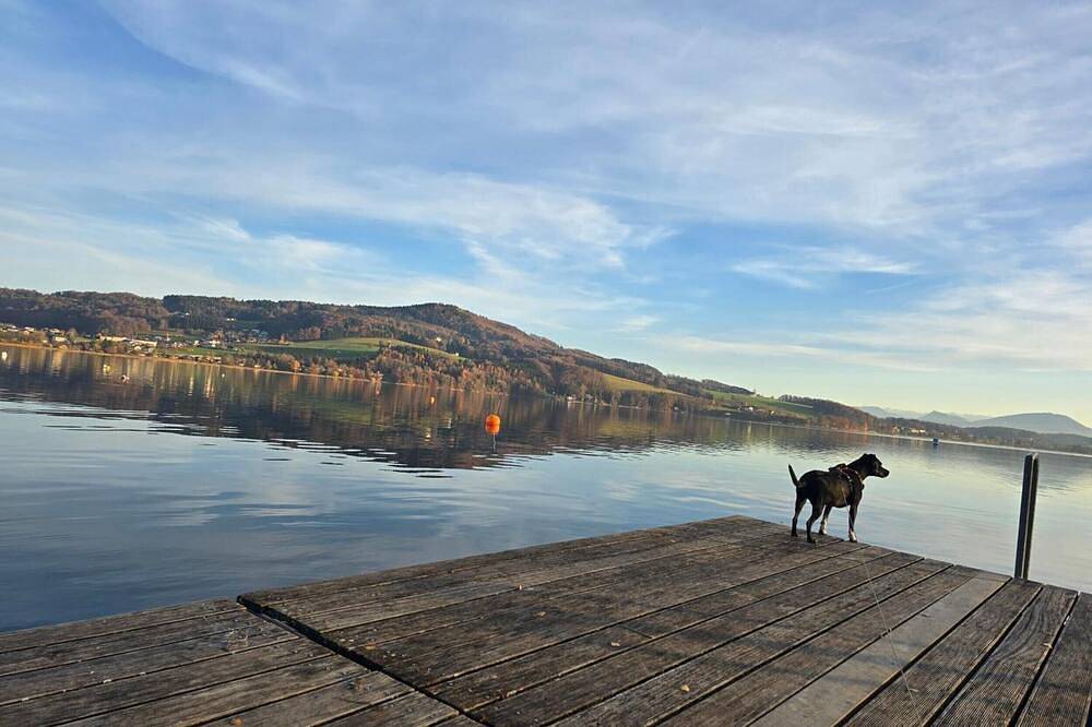 Ganze Wohnung, Apartment 'Lake Loft Salzburg' mit privater Terrasse und eigezäuntem Garten in Seeham, Bezirk Salzburg-Umgebung