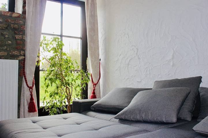 Gîte pour 12 personnes, avec terrasse et jardin, animaux acceptés à Philippeville - 4