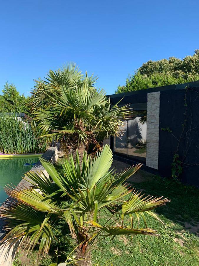 Chambre d’hôte pour 3 personnes, avec piscine et jardin, animaux acceptés