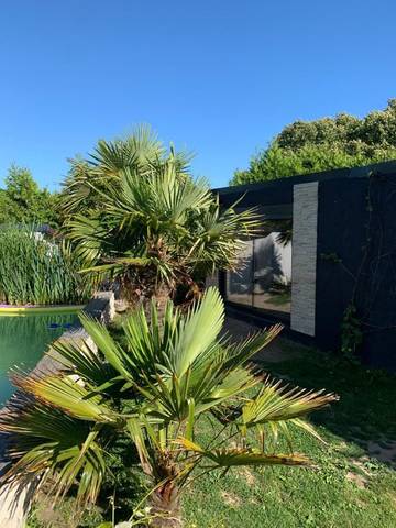 Chambre d’hôte pour 3 personnes, avec piscine et jardin, animaux acceptés dans le Finistère