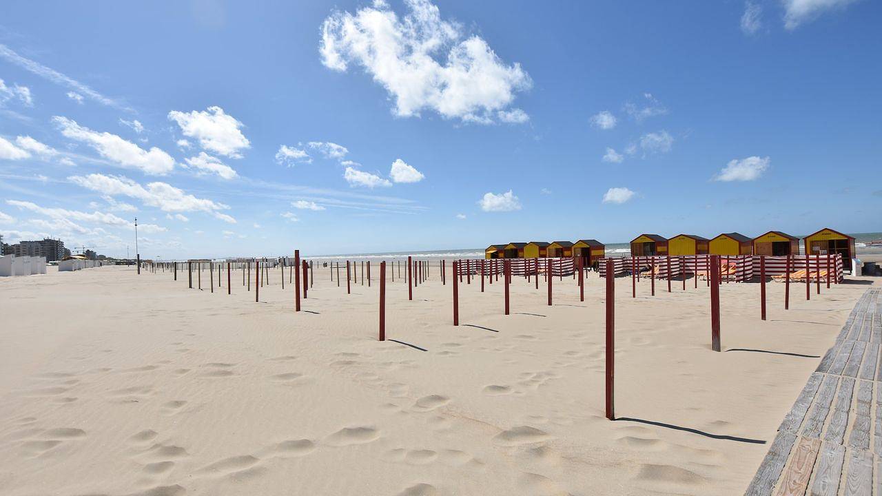 Vakantiehuis voor 24 personen met tuin in De Panne, Belgische Kust
