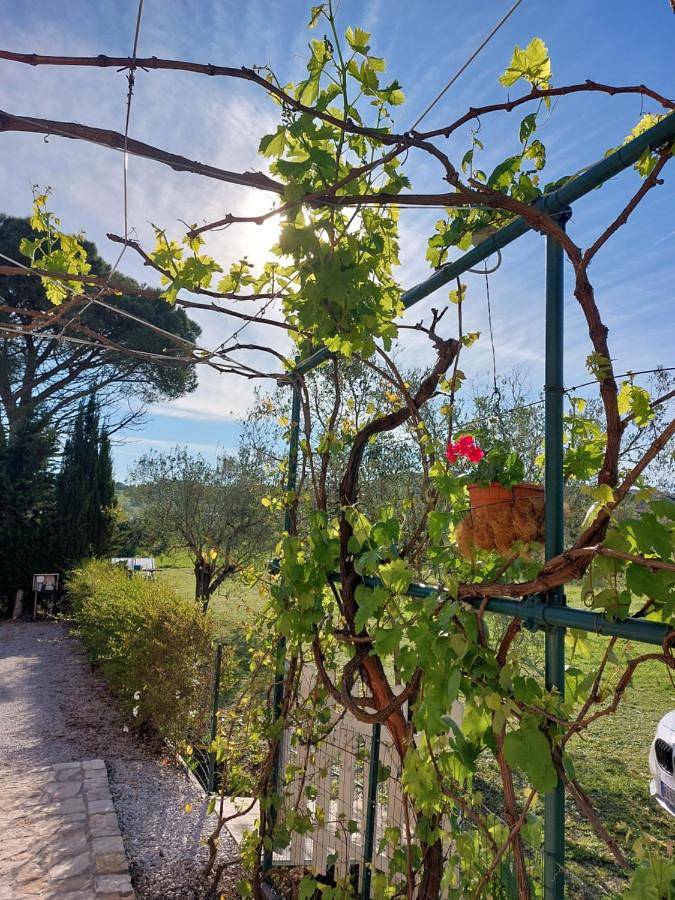 Location de vacances pour 2 personnes, avec jardin et vue à Piombino - 3