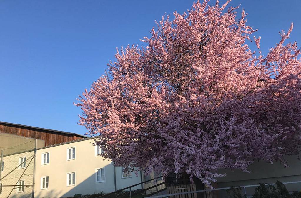 Landpension Gschwantner - Doppelzimmer (18qm) mit kostenfreiem Wlan in Lengenfeld (Waldviertel), Kamptal