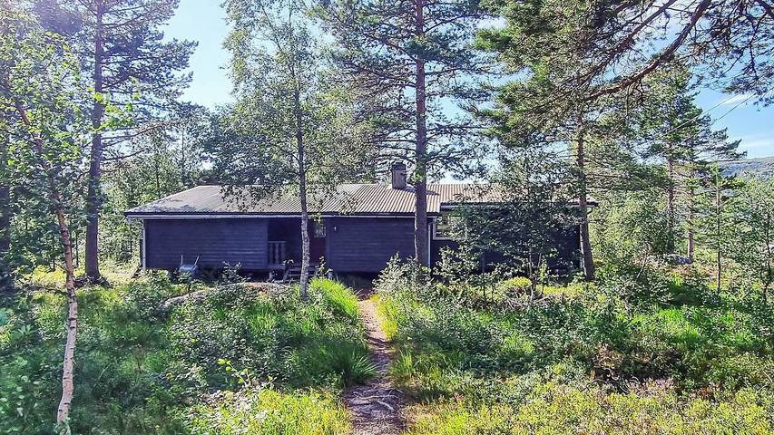 Ferienhaus für 9 Personen, mit Terrasse und Sauna, mit Haustier in Åseral