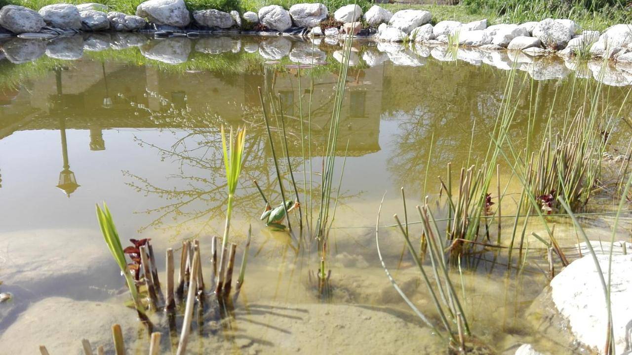 Antica Dimora in Sarnano, Parco nazionale dei Monti Sibillini
