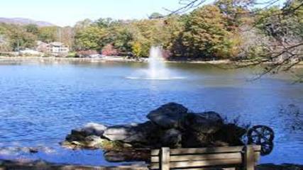 Cabin for 2 Guests in Black Mountain, Blue Ridge Mountains, Picture 3