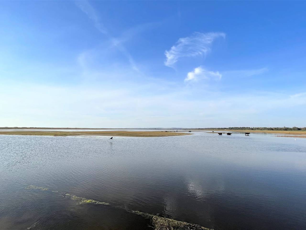 "Mella" - 625m from the sea in Gudmindrup Lyng, Højby