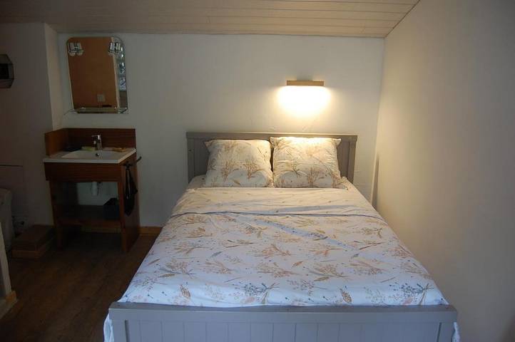 Gîte pour 2 personnes, avec jardin et vue sur le lac ainsi que terrasse et vue dans Grand Port (Aix-les-Bains) - 3