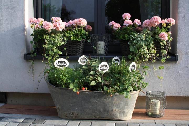 Ferienwohnung für 4 Personen, mit Terrasse in Edesheim - 2