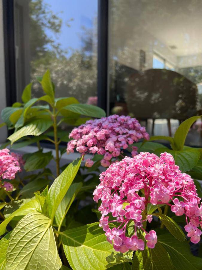 Location de vacances pour 8 personnes, avec jacuzzi ainsi que jardin et piscine, adapté aux familles dans Maubuisson - 3