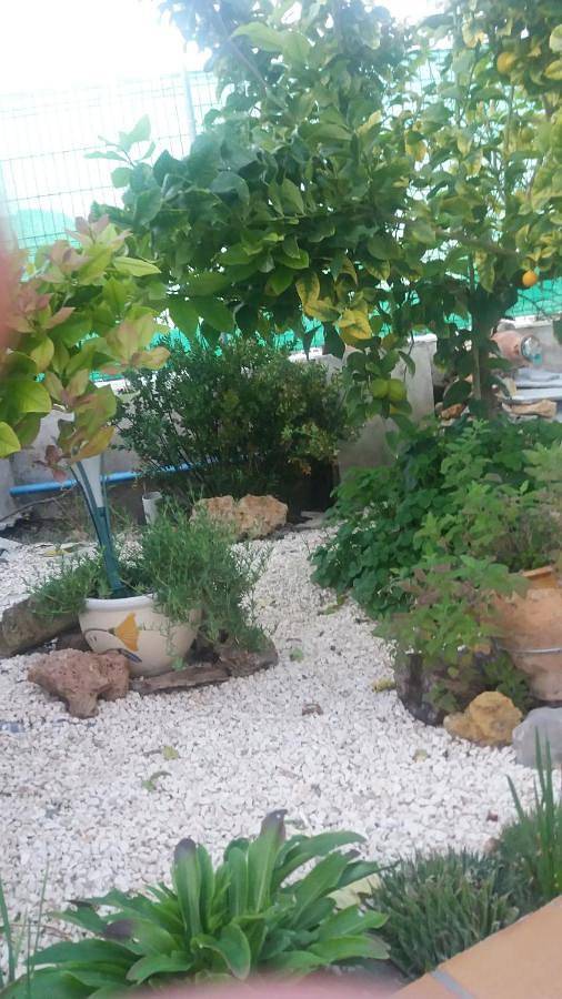 Casa rural para 10 personas, con vistas además de piscina y jardín en Sierra Sur Jaen - 3