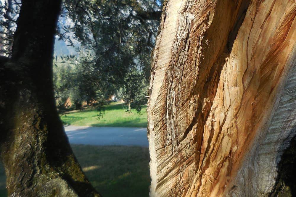 Appartamento vacanze a Trentino a partire da 132€ a notte