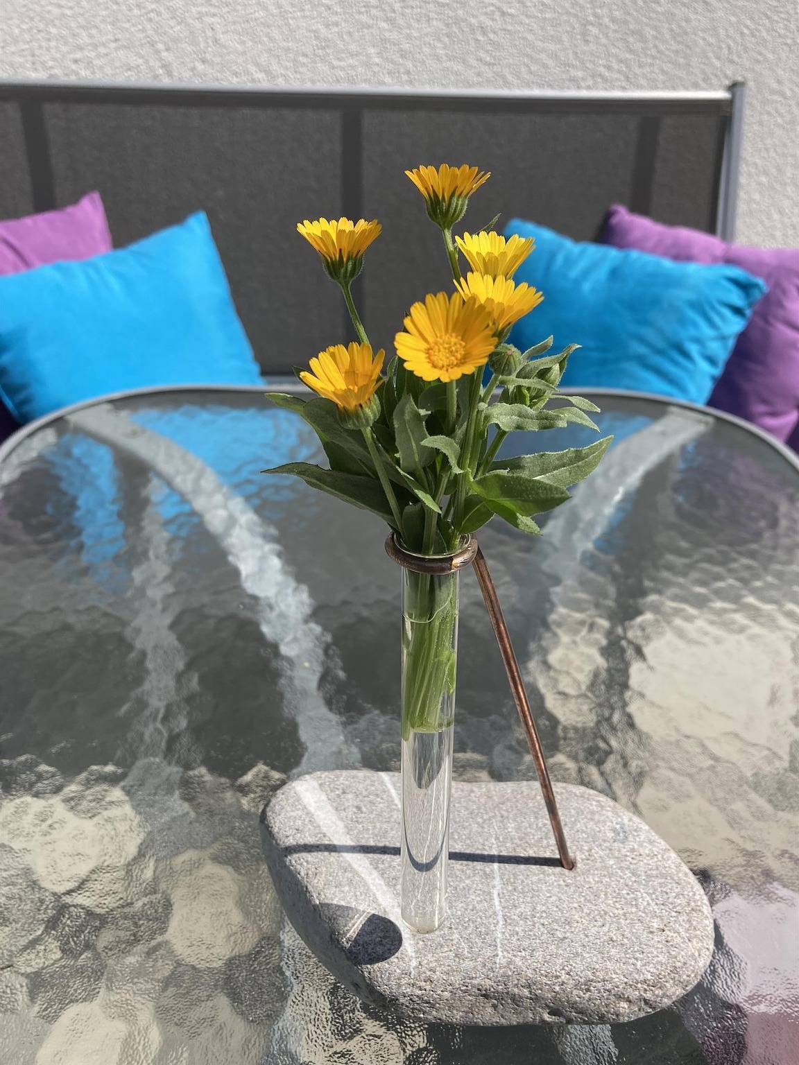 Entire vacation apartment, Appartement/Fewo, Dusche, Wc, 1 Schlafraum in Rottenmanner und Wölzer Tauern, Tauern mountains