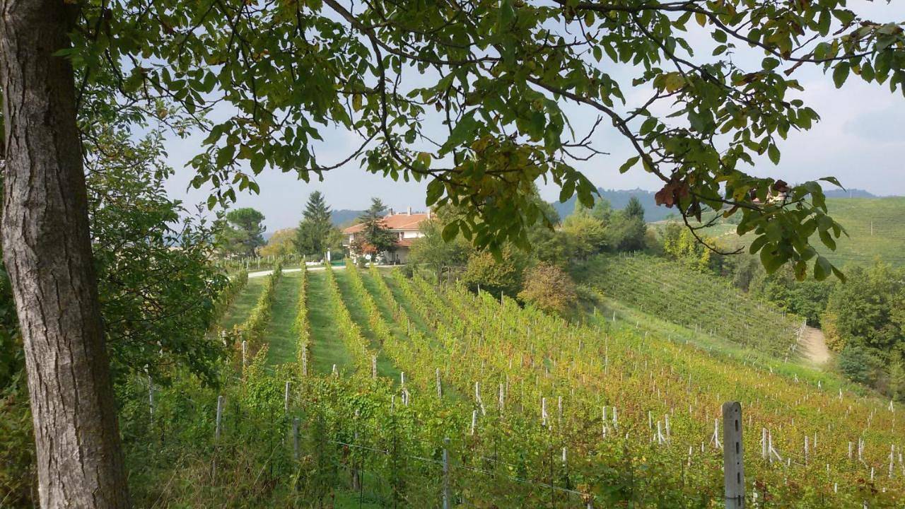 Cascina Torello in Dogliani, Langhe