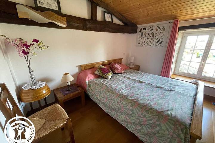 Gîte pour 6 personnes, avec piscine et jardin à Damvix - 3