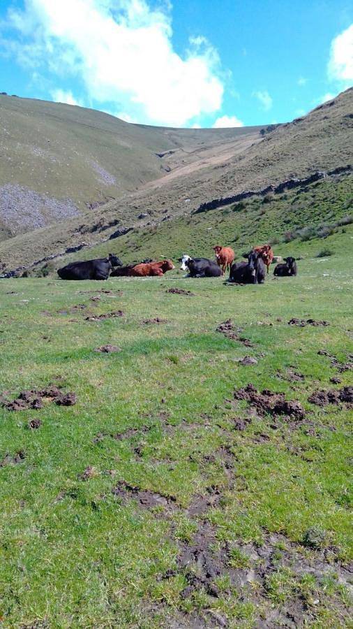 Casa de vacaciones para 12 personas, con jardín y jacuzzi en Valle del Pas-Pisueña - 2