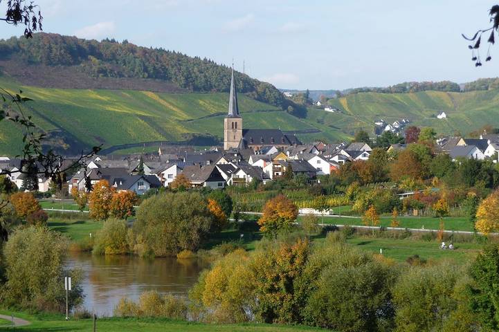 Bauernhof für 4 Personen, mit Garten, mit Haustier an der Mosel