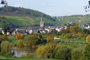 Bauernhof für 4 Personen, mit Garten, mit Haustier in Bernkastel-Kues & Umgebung