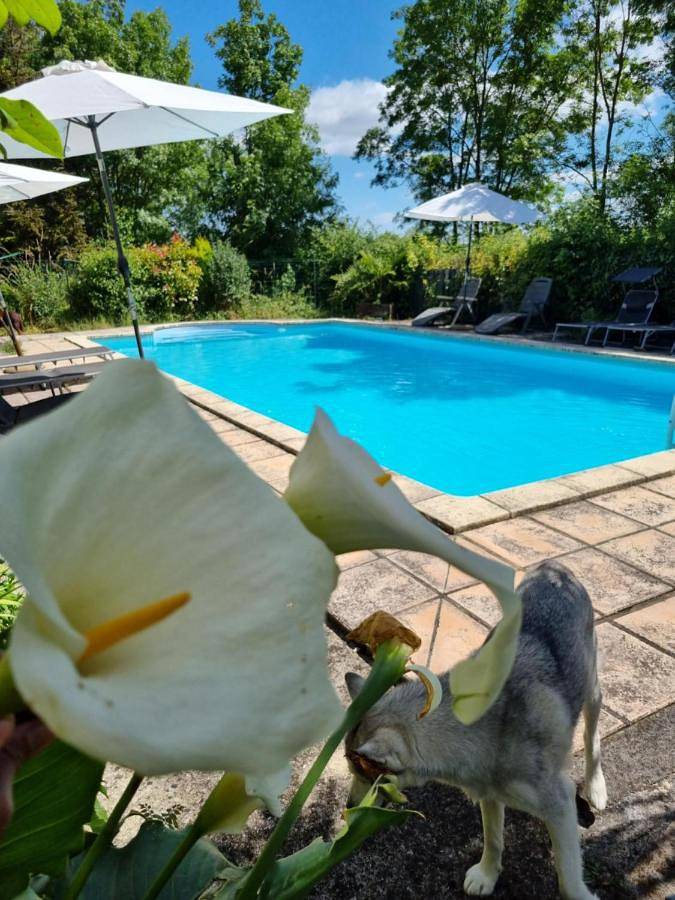 Location de vacances pour 3 personnes, avec Terrasse et Jardin ainsi que Piscine et Vue dans Brie-sous-Matha