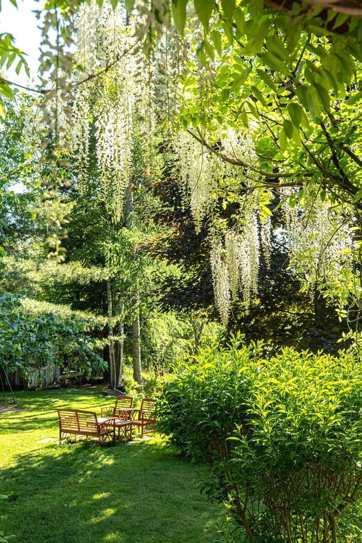 Gîte pour 11 personnes, avec terrasse ainsi que sauna et jardin à Saulxures-sur-Moselotte - 4
