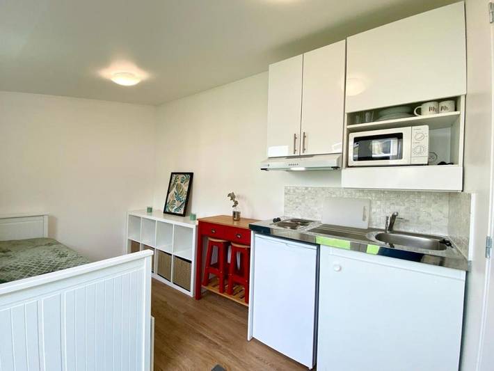 Gîte pour 2 personnes, avec terrasse, animaux acceptés à Fontenay-sous-Bois - 3