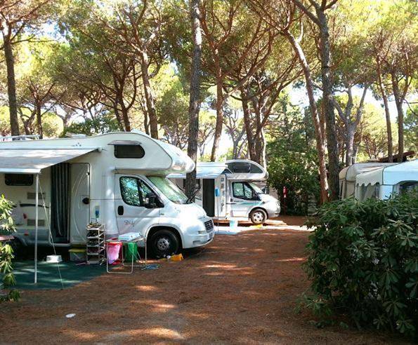 Camping für 6 Personen, mit Garten und Pool sowie Ausblick in Grosseto - 2