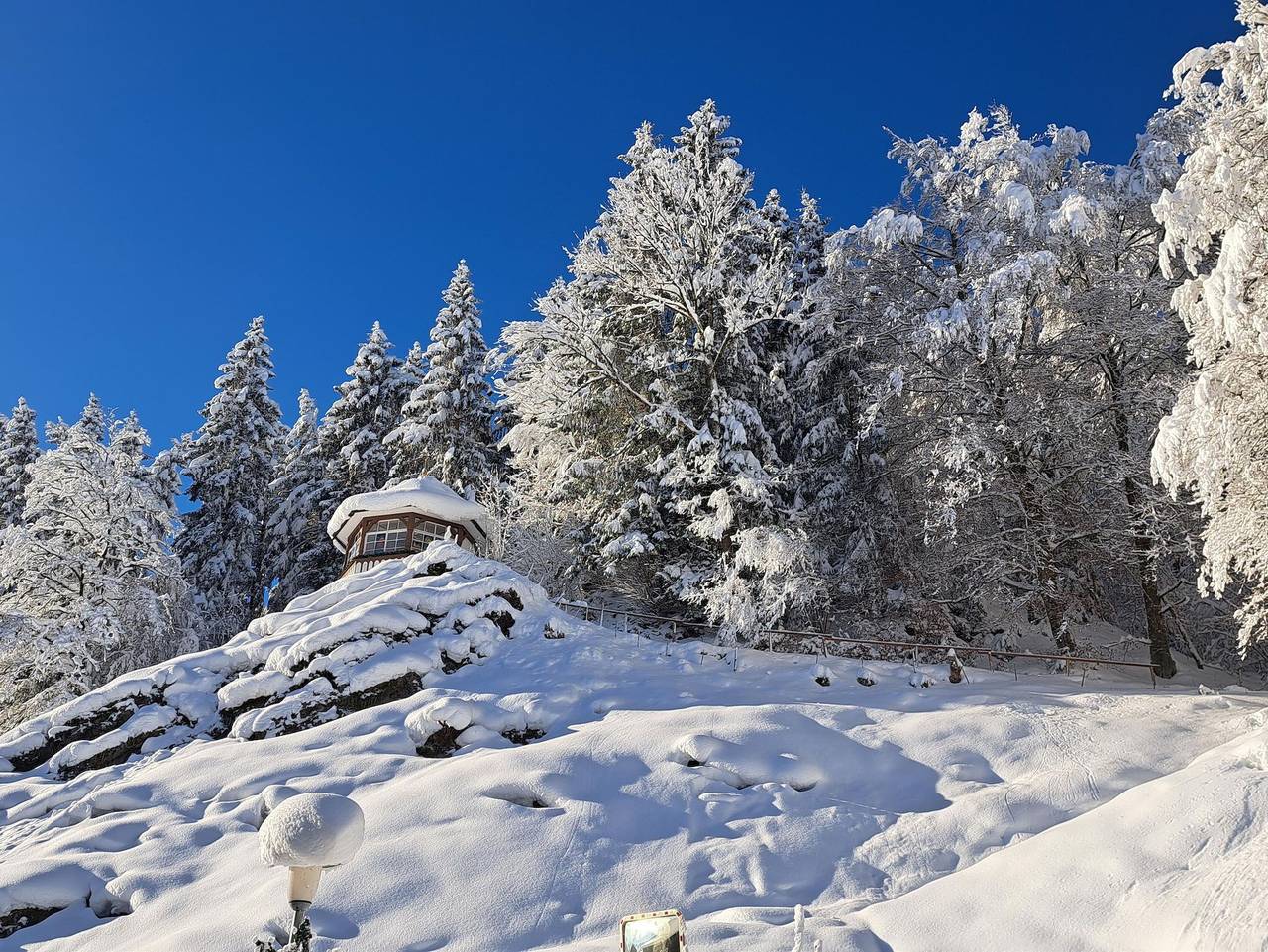 Ganze Ferienwohnung, Haus Waldesruh - Ferienwohnung 1 in Langenwang, Fischen