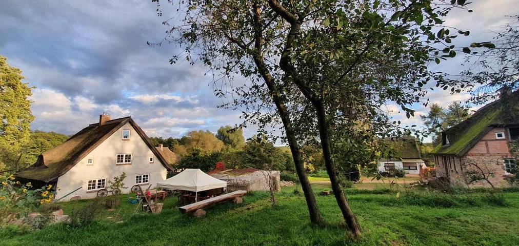 Ferienhaus für 15 Personen, mit Garten und Ausblick, mit Haustier in Zirkow - 2