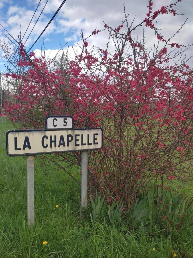 Location de vacances pour 4 personnes, avec piscine et jardin à Mauzens-et-Miremont - 2