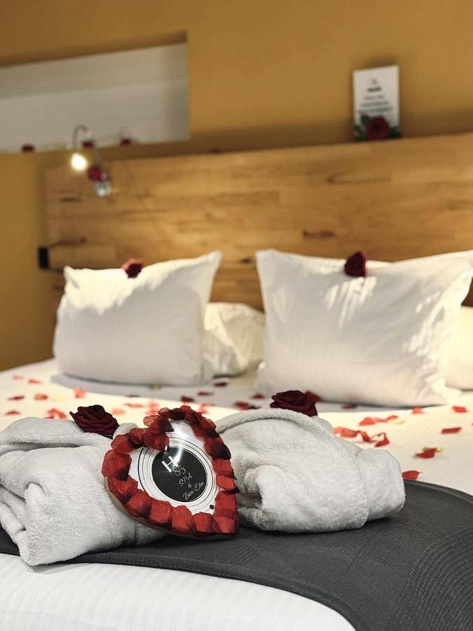 Hôtel pour 2 personnes, avec vue, animaux acceptés à Chatte (bateau) - 3