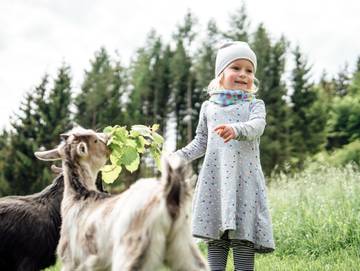 Bauernhof für 5 Personen in Steirerland, Oststeiermark, Bild 4