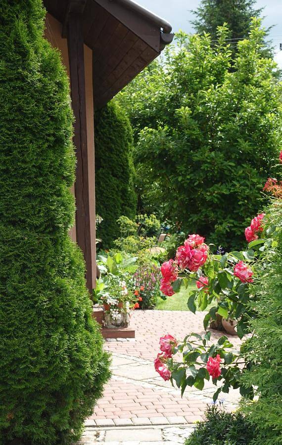 Location de vacances pour 6 personnes, avec sauna et jardin ainsi que vue et piscine, animaux acceptés à Piła - 3