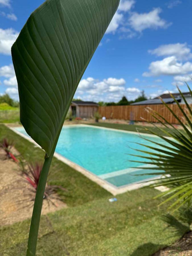 Location de vacances pour 12 personnes, avec piscine et jardin à Ambarès-et-Lagrave - 4