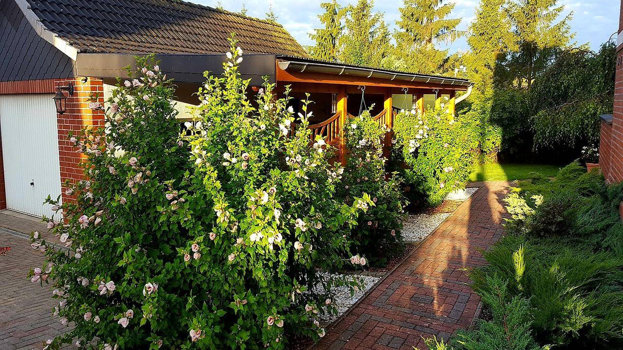 Ganze Ferienwohnung, Ferienwohnung für 4 Personen (60 m²) in Satow (Bad Doberan) in Satow, Mecklenburgische Ostseeküste