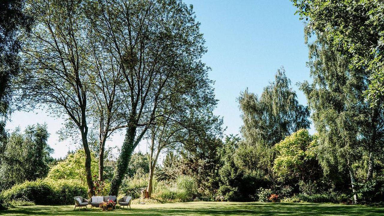 Ganze Ferienwohnung, Ferienwohnung für 7 Personen (155 m²) in Radeberg in Radeberg, Oberlausitz Niederschlesien