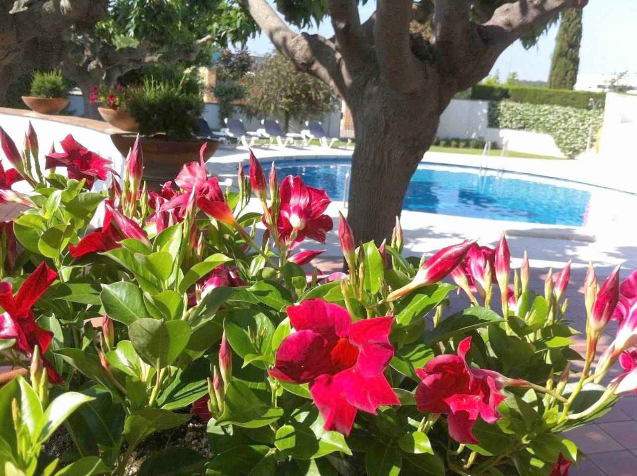 Hotel Restaurant Bon Retorn in Figueras, Alt Empordà